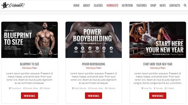 Thiết kế website phòng tập gym, yoga ấn tượng, đẹp mắt